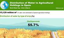 Infography: Distribution of Water to Agricultural
Holdings