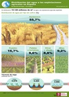 Infografía: Distribución del agua a las explotaciones agrícolas