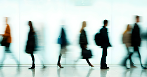 Image Collegiate Bodies