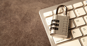 Imagen Microdatos anonimizados