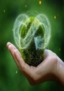 Imagen de Panel de Indicadores Ambientales
