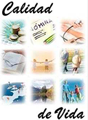 Quality of Life Indicators image