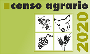 INE. Censo Agrario 2020
