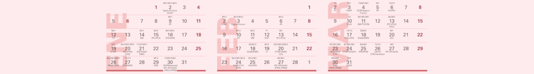 Versión imprimible Calendario estadísticas coyunturales